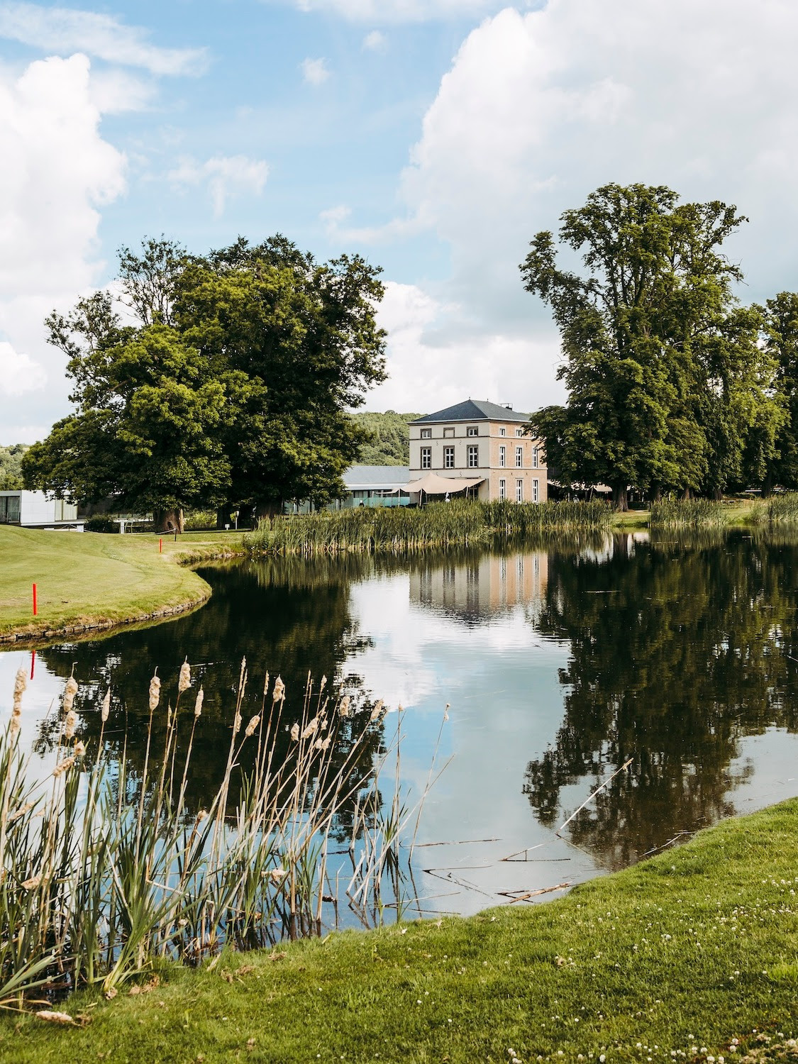 Wanze, en province de Liège, va-t-elle devenir un haut lieu de la viticulture wallonne ?